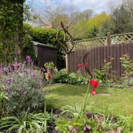 Picturesque Stone Cottage In The Heart Of North Yorkshire Village - Hideaway Cottage Bagian luar foto