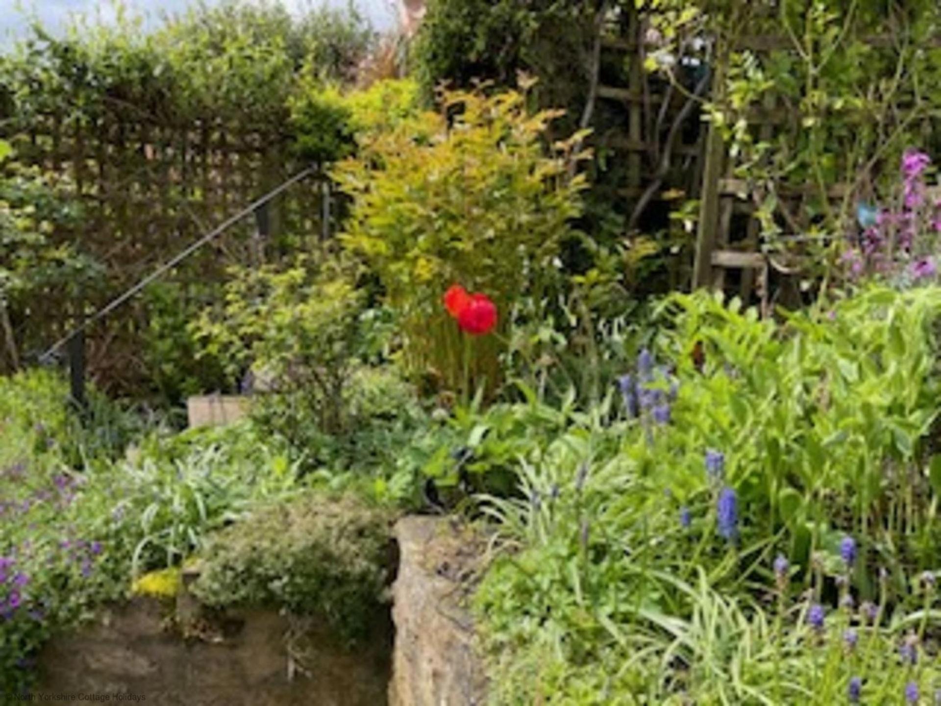 Picturesque Stone Cottage In The Heart Of North Yorkshire Village - Hideaway Cottage Bagian luar foto